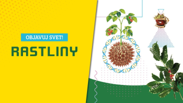 Rastliny - Objavuj svet! SK